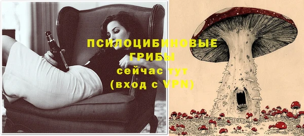 кокс Ельня