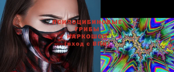 ECSTASY Кедровый
