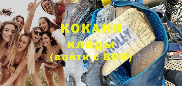 кокс Ельня