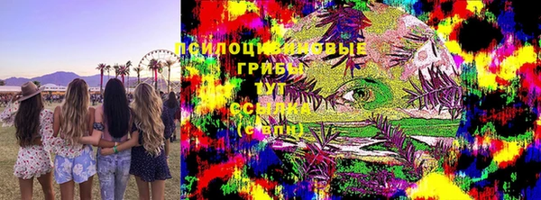 кокс Ельня