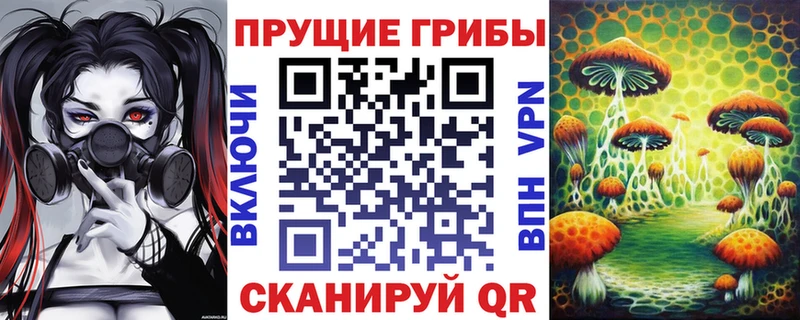 Галлюциногенные грибы прущие грибы  Ростов 